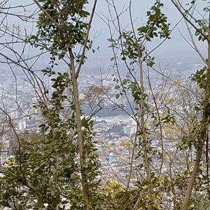 Meet your Posher, Liliana